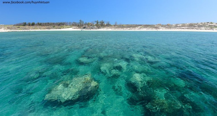 Du lịch Cù Lao Câu rẻ, đẹp chỉ tốn 600.000 đồng ảnh 2