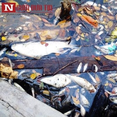 Người tiết lộ 'bí mật' về ống xả thải của Formosa đã 'mất tích' ảnh 1