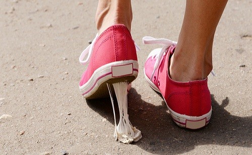 Đừng làm 5 điều này nếu bạn không muốn đi tù khi du lịch ảnh 3