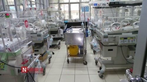 Chặng đường vượt 'cửa tử' của những trẻ sinh thiếu tháng ảnh 3