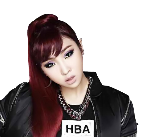 Fan 'náo loạn' vì Minzy chuẩn bị rời YG, 2NE1 tan rã ảnh 2