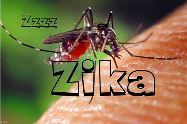 Phải làm gì khi phát hiện dương tính với Virus Zika? ảnh 1