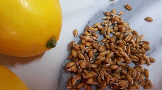 Bài thuốc giúp cơ thể khỏe mạnh, bệnh ung thư cũng 'sợ hãi' ảnh 2