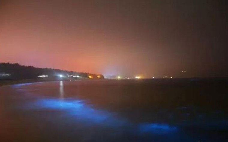 Những ánh sáng xanh huyền bí xuất hiện ở bờ biển Trung Quốc ảnh 3