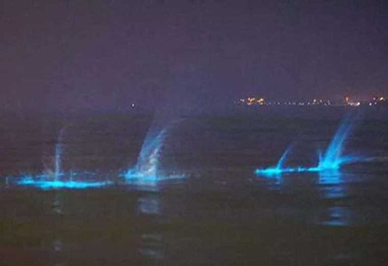 Những ánh sáng xanh huyền bí xuất hiện ở bờ biển Trung Quốc ảnh 5