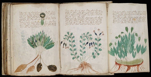 Bí ẩn cuốn sách Voynich ảnh 3