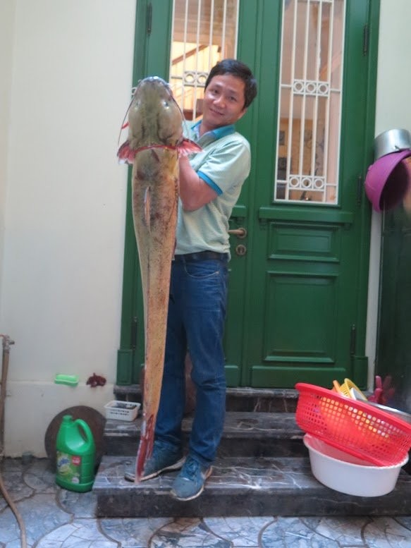 Xẻ thịt cá lăng sông Đà 1,5 mét: Đại gia làm bữa nhậu ảnh 2