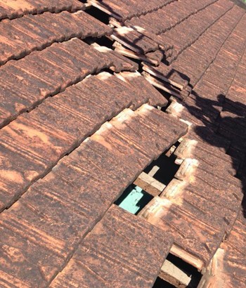 Nghi vấn máy bay hạ cánh làm thủng mái nhà dân ảnh 1