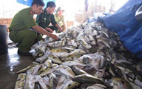 Giải pháp cấp bách ứng phó với cá chết bất thường ở miền Trung ảnh 2