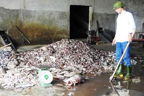 Formosa nhập 384 tấn hóa chất là đúng quy định ảnh 1