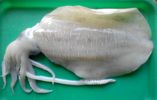 Bi hài những chuyện khách hàng bị 'chặt chém' chỉ biết kêu trời ảnh 5