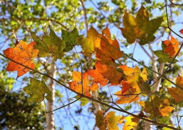 Những điểm đến tuyệt đẹp trong tháng 9 ảnh 7