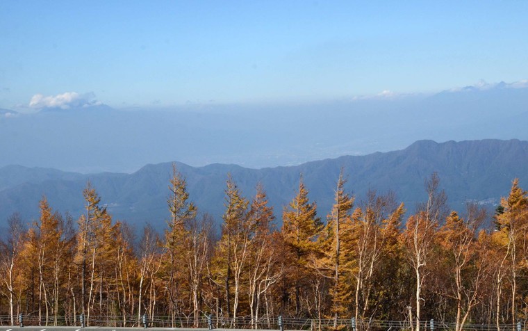 'Mãn nhãn' với núi Phú Sĩ mùa lá vàng ảnh 12