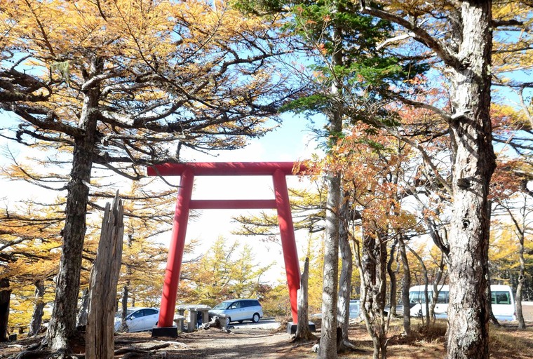 'Mãn nhãn' với núi Phú Sĩ mùa lá vàng ảnh 9