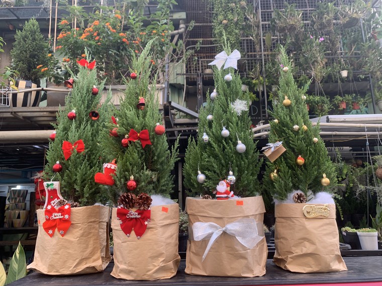 Giáng sinh trong mùa Covid ảnh 1