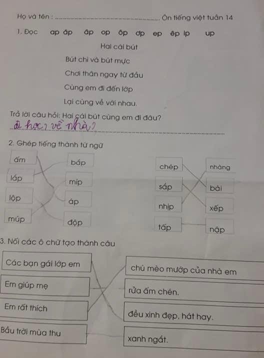 Khi trẻ lớp Một bị quá tải – Bài 1: Học cả ngày lẫn đêm vẫn lo thi rớt ảnh 1