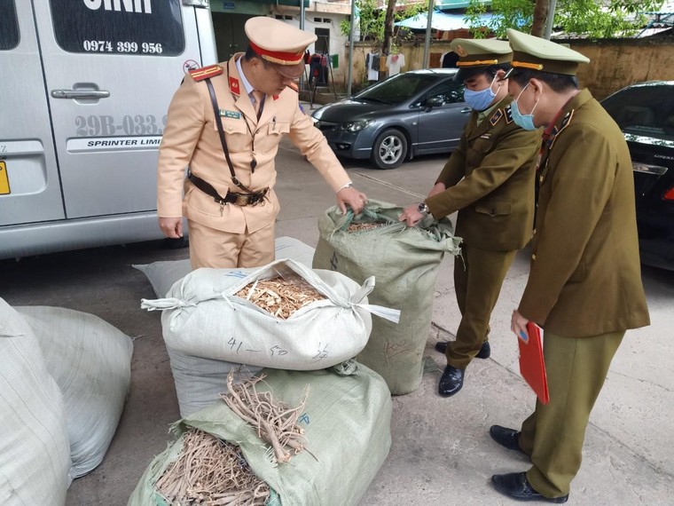 Lạng Sơn: Thu giữ, xử lý gần 400 kg đương quy, hoàng kỳ ảnh 1