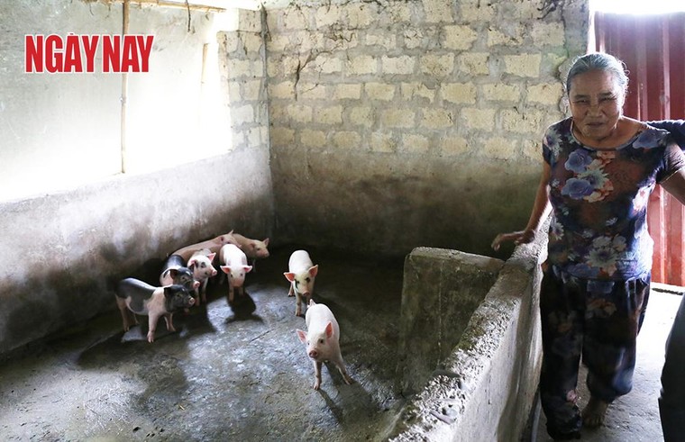 Quảng Trị - Những ngày cuối năm ảnh 7