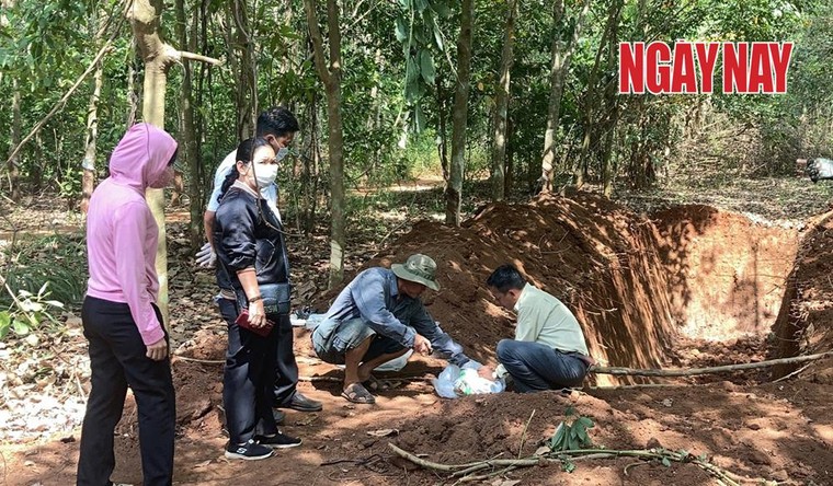 Đồng Nai: Đang làm rõ vụ lén lút chôn lấp hàng trăm con heo chết ảnh 1