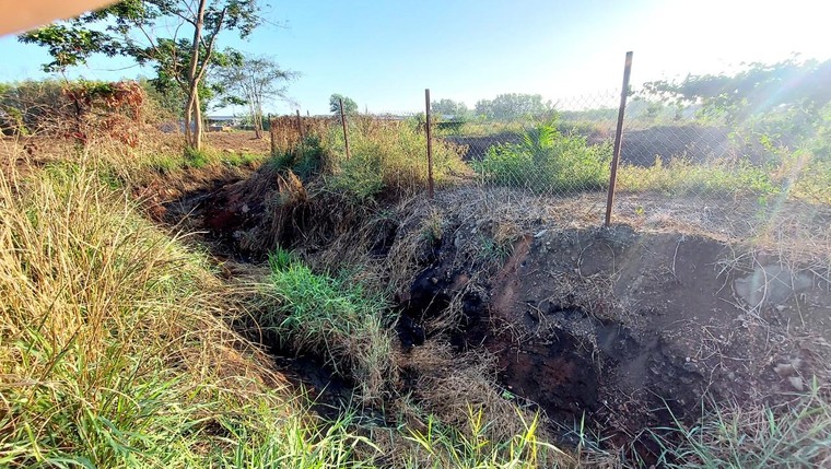 Đồng Nai: hàng loạt con suối ở huyện Thống Nhất bị nước thải từ các trại heo bức tử ảnh 2