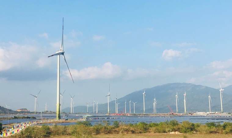 Trung Nam Group khánh thành Nhà máy điện gió lớn nhất Việt Nam ảnh 2