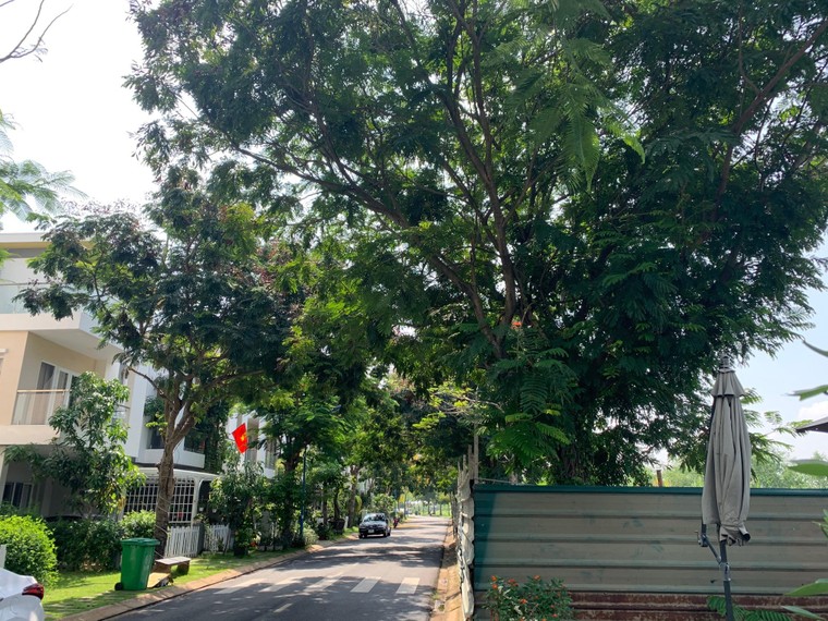 Dự án Melosa Garden không có trạm xử lý nước thải – Bài 2: Thu hàng tỷ đồng quỹ bảo trì của cư dân ảnh 1