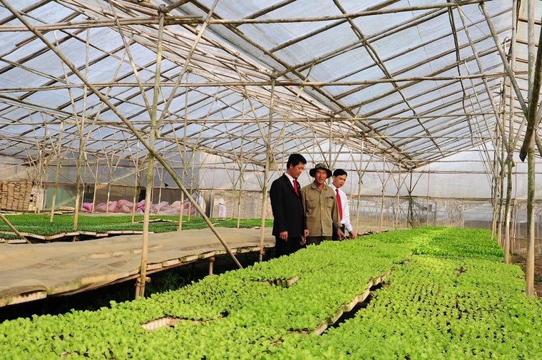 Agribank – ngân hàng chủ lực cung ứng vốn cho tam nông, tạo động lực tăng trưởng kinh tế ảnh 1