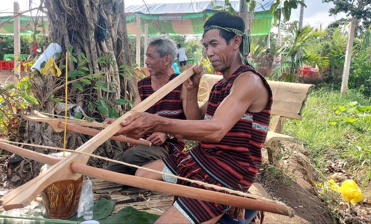 Đồng Nai: Lễ hội Sayangva của đồng bào Chơ Ro ảnh 8