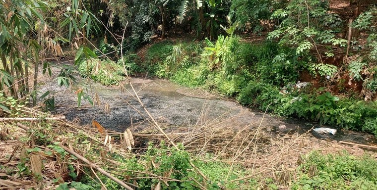 Đồng Nai: Xây dựng trái phép và xả thải chăn nuôi tiếp tục bức tử suối Sông Nhạn ảnh 3