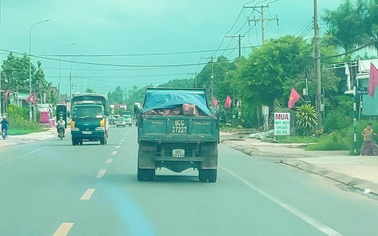 Vụ Dự án chống sạt lở xảy ra sạt lở ở Đồng Nai: Công ty Minh Minh Đạt "cù nhây" với Sở NN&PTNT? ảnh 2