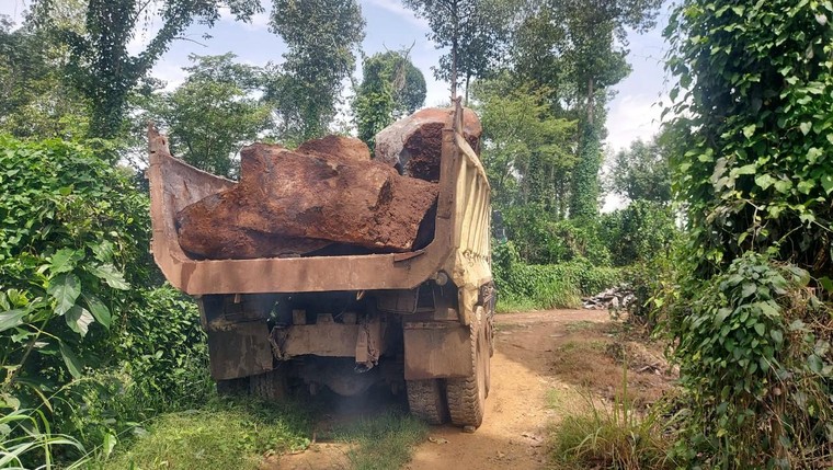 Đồng Nai: Rừng phòng hộ La Ngà bị đốn hạ để khai thác đá mồ côi ảnh 1