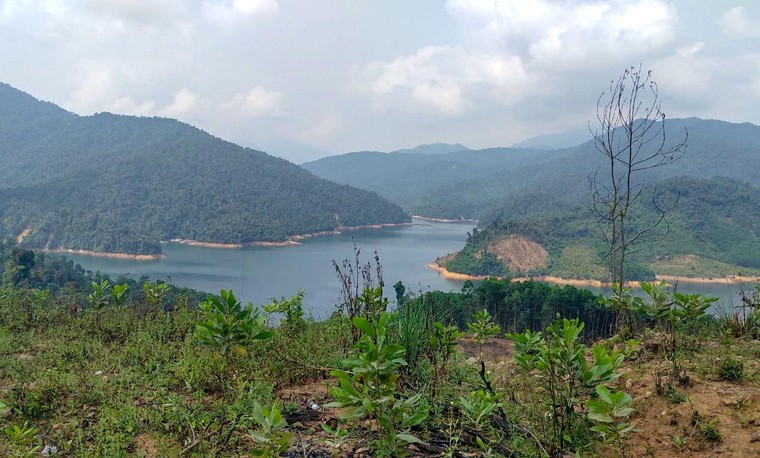 Quảng Nam hướng đến phát triển bền vững gần 700.000ha rừng từ đề án kinh doanh tín chỉ carbon rừng ảnh 6