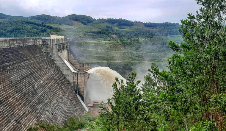 Quảng Nam hướng đến phát triển bền vững gần 700.000ha rừng từ đề án kinh doanh tín chỉ carbon rừng ảnh 2