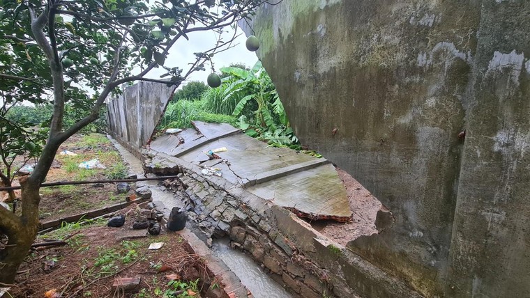 Đồng Nai: Nước mưa như lũ từ KCN Dầu Giây phá nát vườn cây, ao cá của nông dân ảnh 1