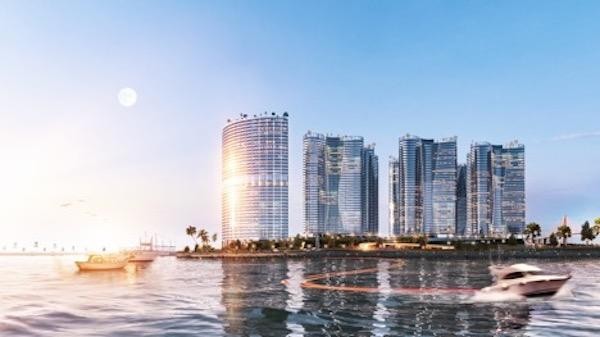 Quy mô vốn hoá của Sunshine Homes đạt ngưỡng 1 tỷ USD ảnh 2