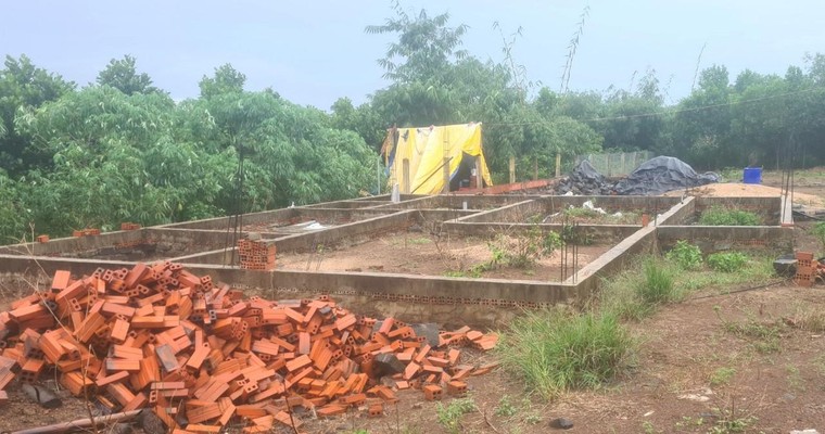 Nghịch lý vùng xanh ảnh 2