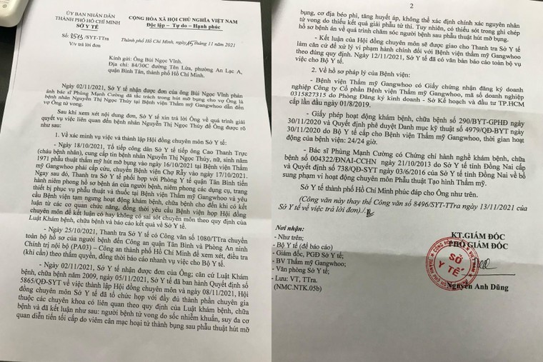 Vụ tử vong tại BV Gangwhoo: Hội đồng khoa học Sở Y tế TP.HCM không làm hết trách nhiệm! ảnh 1