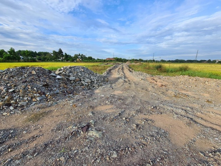 Đồng Nai: Người dân đua nhau lấp đất ruộng “lên đời” thổ cư ảnh 3