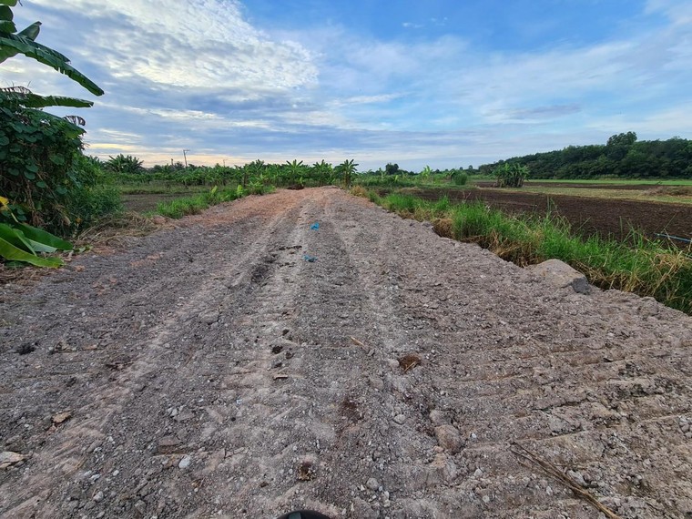 Đồng Nai: Người dân đua nhau lấp đất ruộng “lên đời” thổ cư ảnh 1