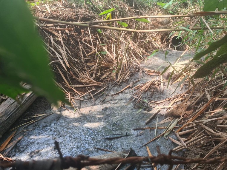 Bài 1: Bức tử dòng suối từ những trang trại ảnh 1