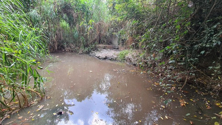 Bài 2: Những con suối tự nhiên thành nguồn ô nhiễm ảnh 1