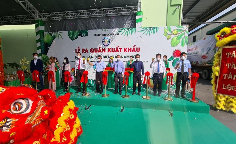 Đồng Nai: “Phát pháo” xuất khẩu nông sản chế biến ra thế giới ảnh 2