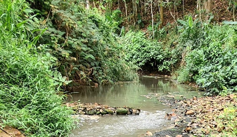 Nhà máy chế biến mủ bị bể ống xả thải làm ô nhiễm môi trường ảnh 2