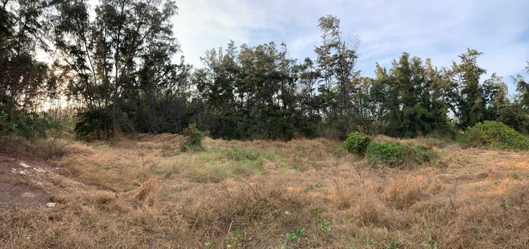 Vũng Tàu Paradise - Bài 3: Nhùng nhằng thu hồi còn ‘vẽ rắn thêm chân’ ảnh 1