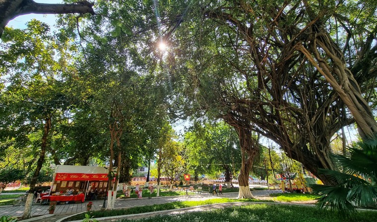 Khoảng 50 ngàn lượt người viếng Lăng Tả quân Lê Văn Duyệt dịp đầu năm Nhâm Dần ảnh 10