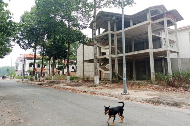 Những ‘thành phố ma’ - Bài 1: Thành phố Nhơn Trạch mãi chưa “lớn” ảnh 7