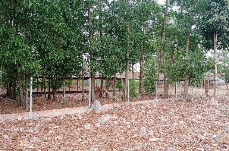 Những ‘thành phố ma’ - Bài 1: Thành phố Nhơn Trạch mãi chưa “lớn” ảnh 4