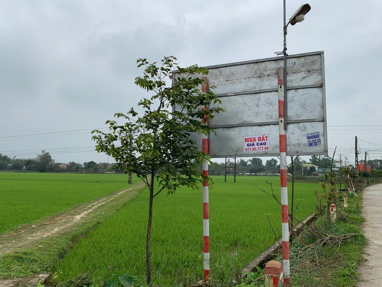 Huyện Đức Thọ (Hà Tĩnh): Liệu có “liên quan” giữa cán bộ địa phương và chiêu trò “thổi” giá đất?! ảnh 1