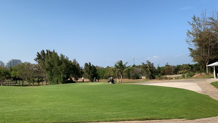 Bắt đầu cưỡng chế 43 triệu USD tiền thuế, thuê đất của Công ty Liên doanh Vũng Tàu Paradise ảnh 1