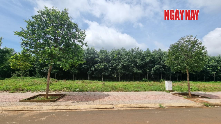 Dự án A1-C1 (Khu đô thị Dầu Giây): Mập mờ bán đất chưa đủ điều kiện ảnh 2